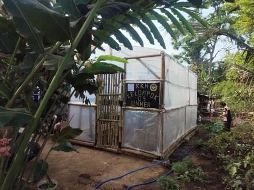 Greenhouse berbahan bambu
