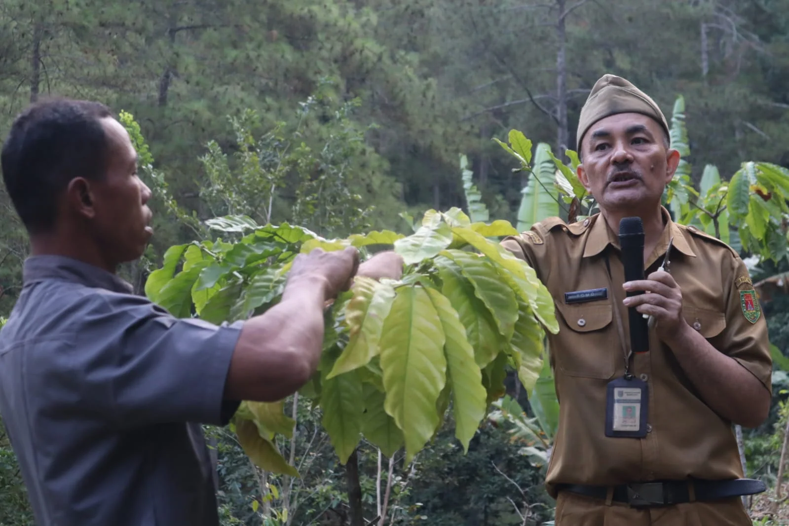Praktik Budidaya Kopi