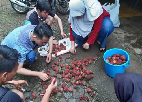 Selai Rambutan Mahasiswa KKN Undip Tim I Berikan Pelatihan Inovasi Olahan Makanan dari ...